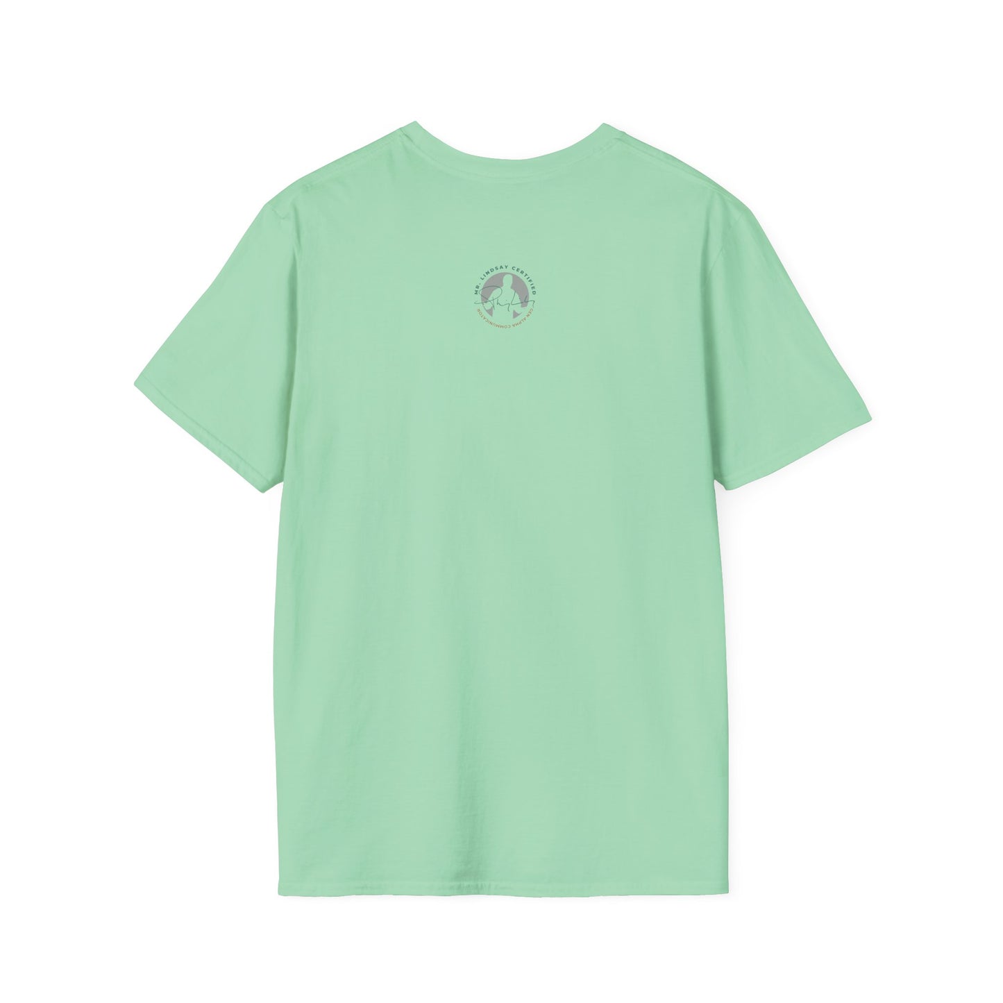 Mr. Lindsay Certified Save the Rizz T-Shirt