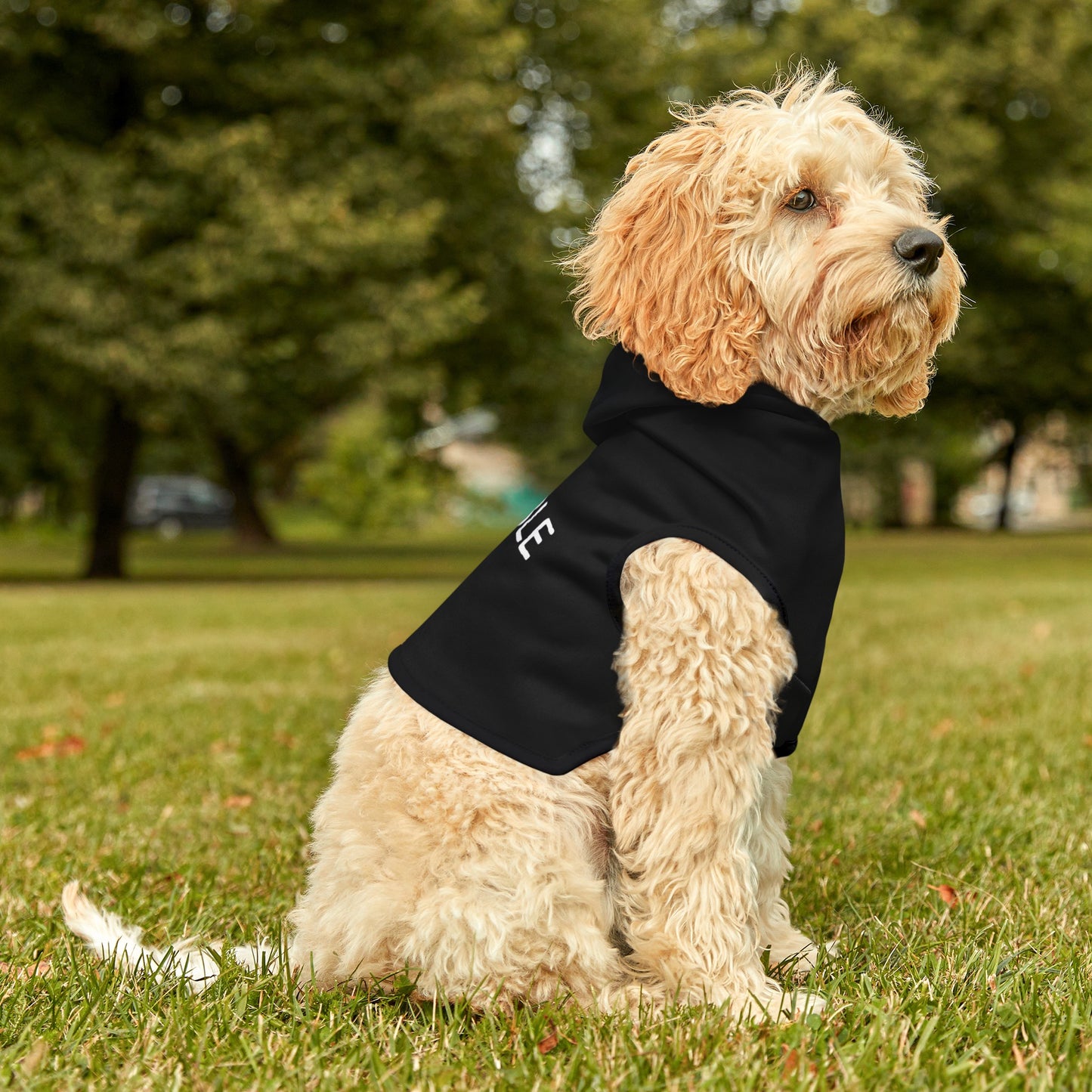 Trouble Pet Hoodie