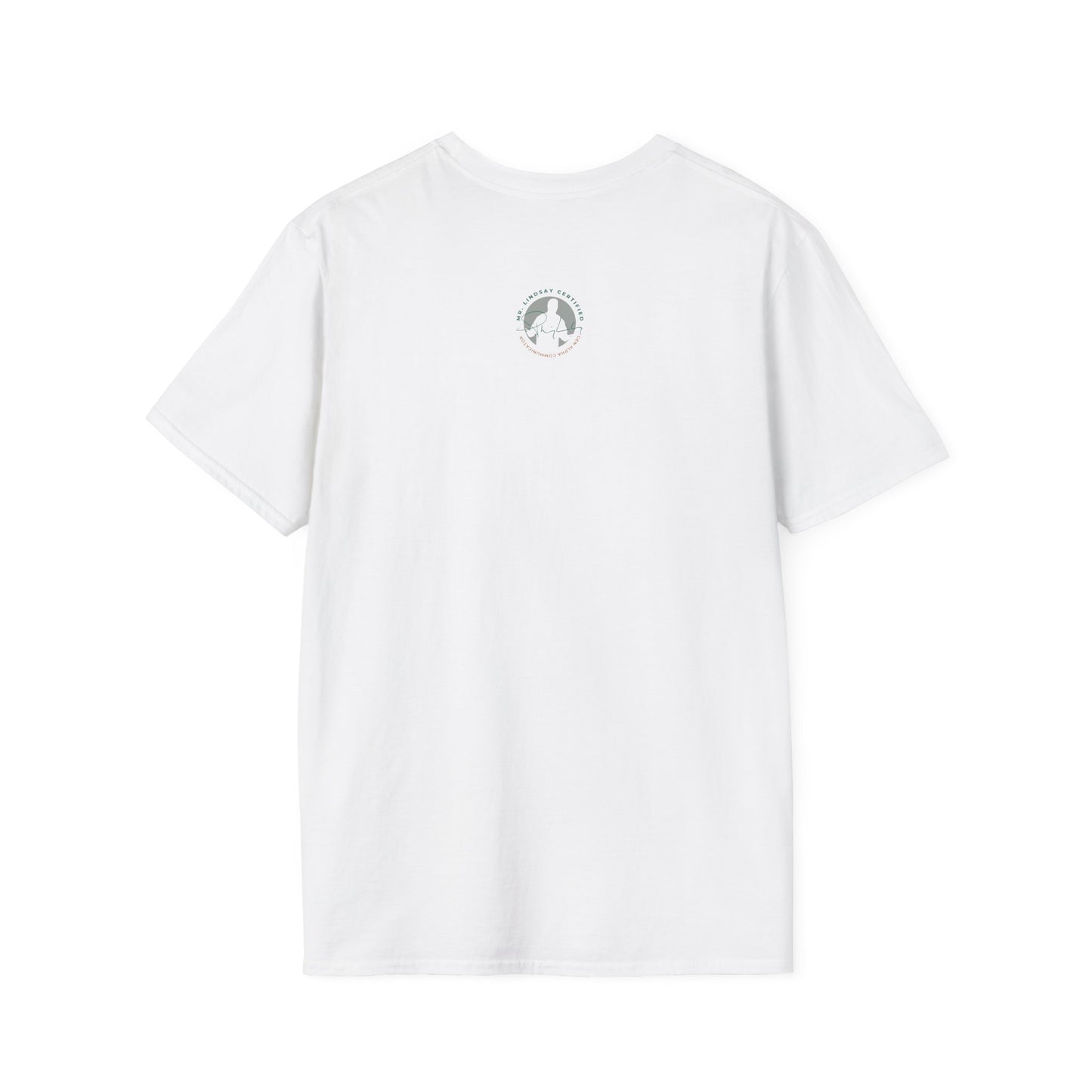 Mr. Lindsay Certified Save the Rizz T-Shirt