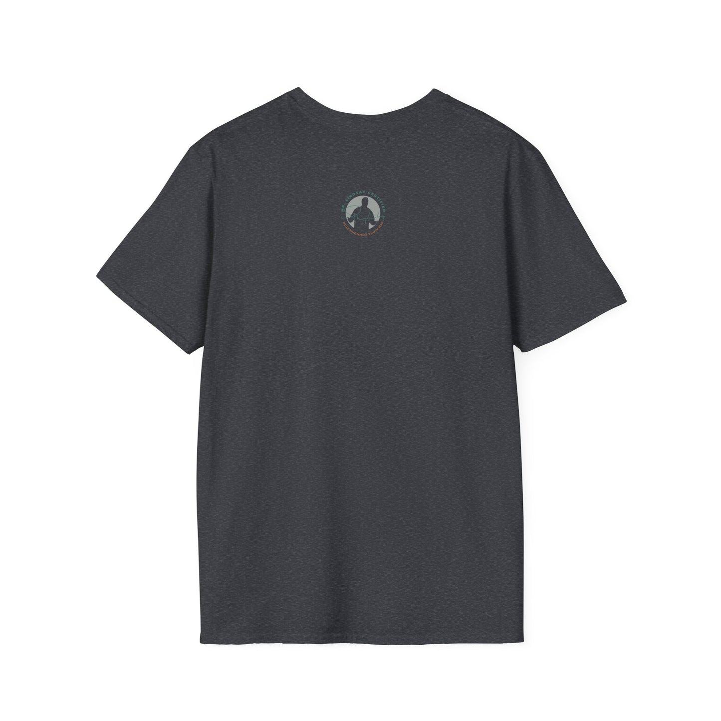 Mr. Lindsay Certified Save the Rizz T-Shirt