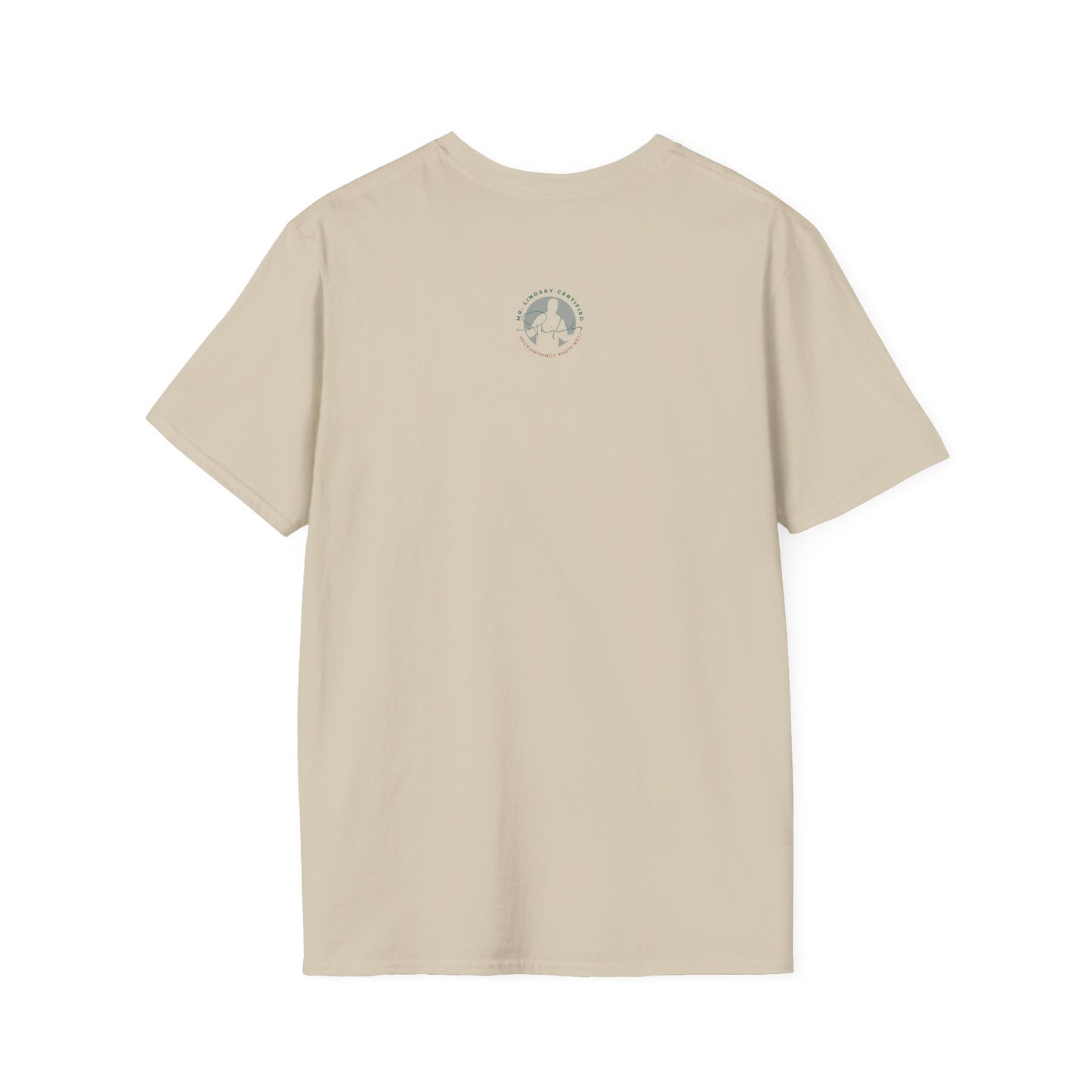 Mr. Lindsay Certified Save the Rizz T-Shirt