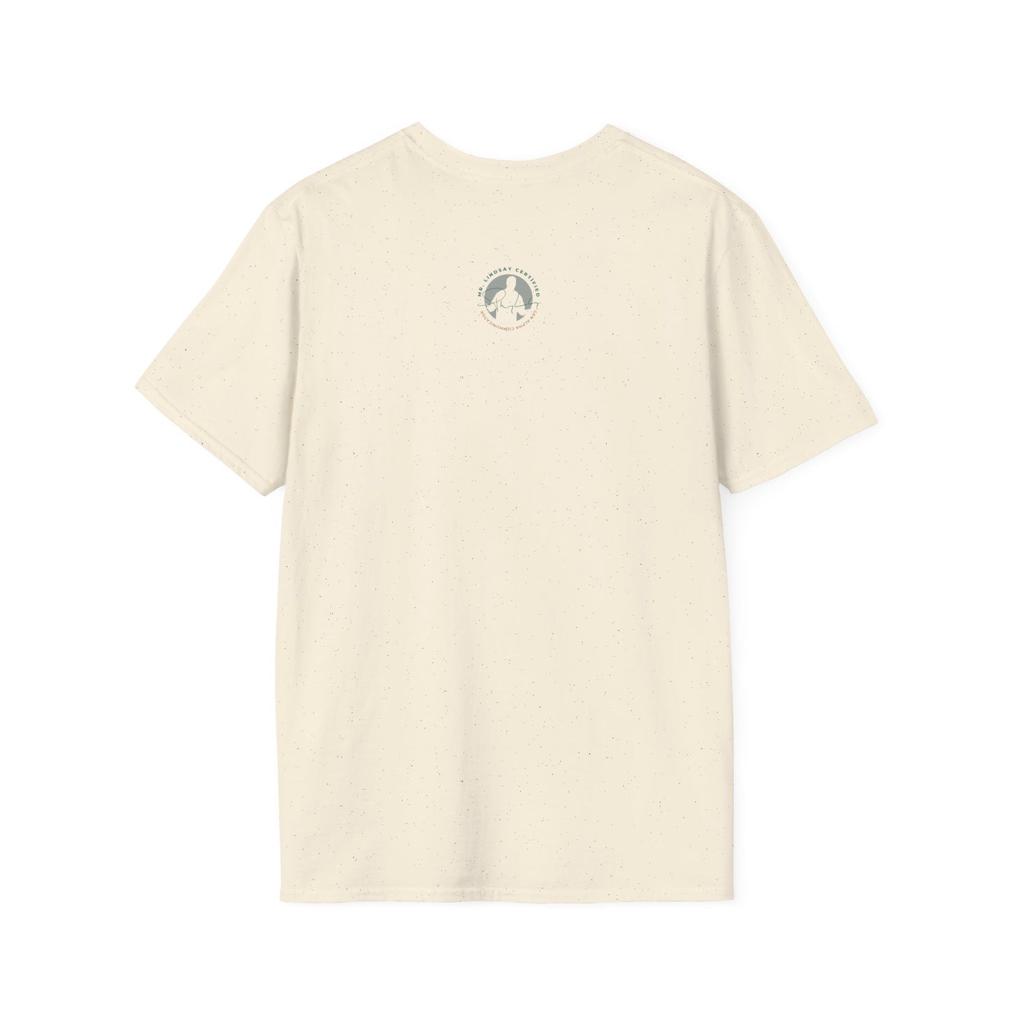 Mr. Lindsay Certified Save the Rizz T-Shirt