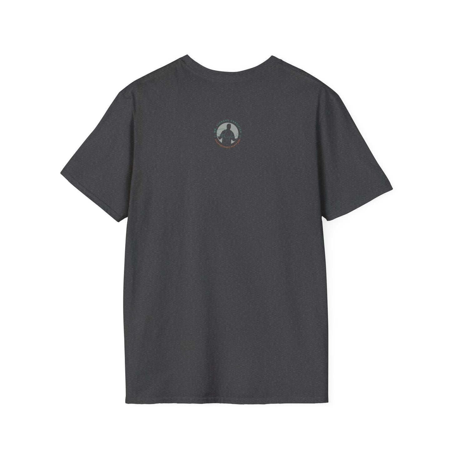 Mr. Lindsay Certified Save the Rizz T-Shirt