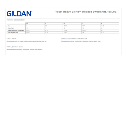 Mr. Lindsay Certified Max Aura Youth Hoodie